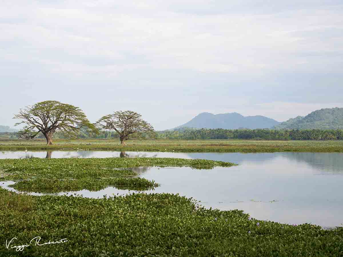 Sri Lanka