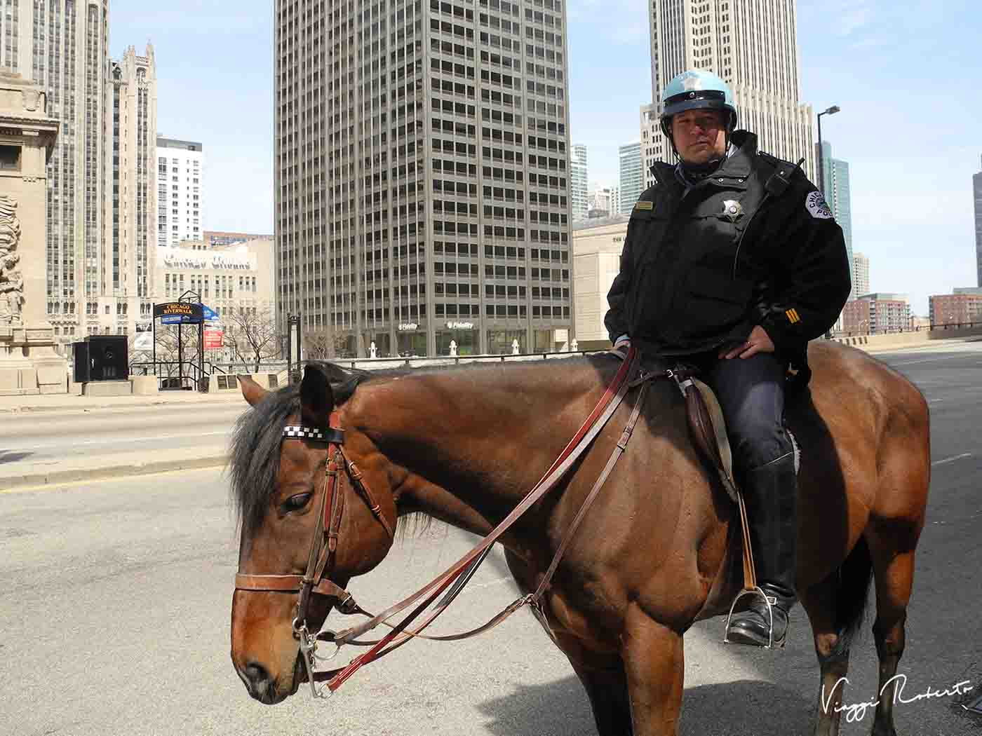 USA, polizia a cavallo