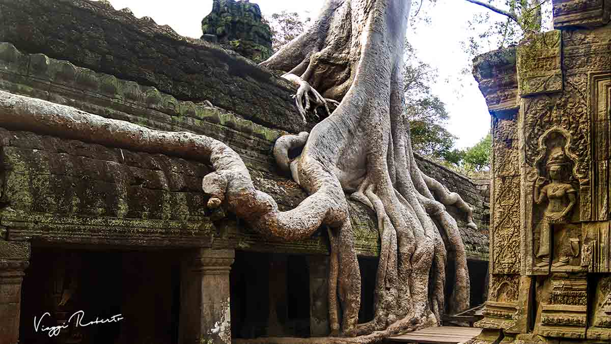 Angkor